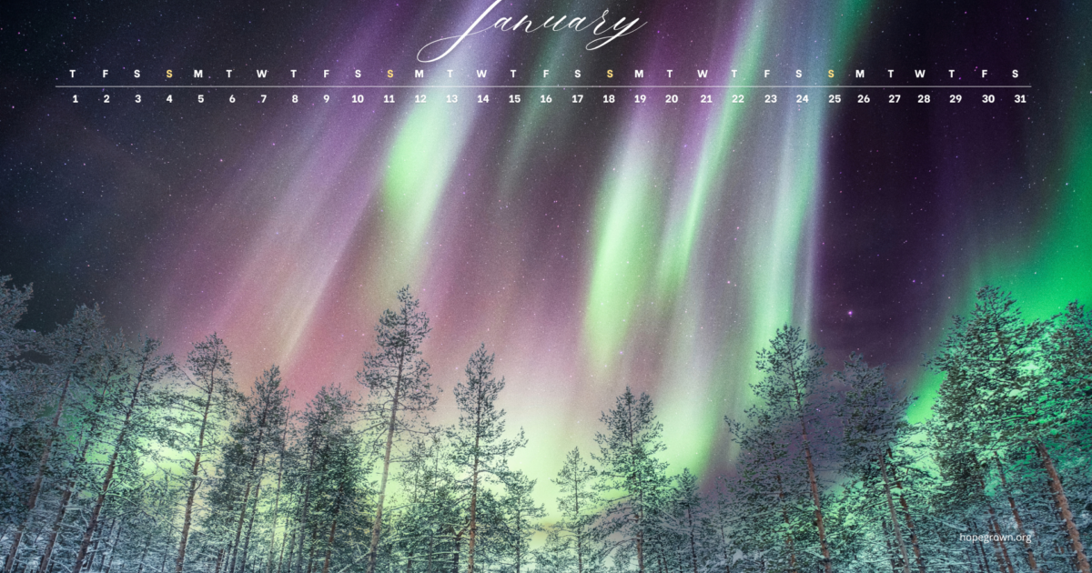 Free January 2026 Calendar Wallpapers: Nature-Inspired Designs | Hopegrown
