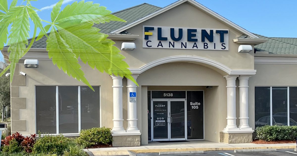 Rise Medical Cannabis Dispensary New Port Richey Everything You Need to Know About Fluent New Port Richey Dispensary