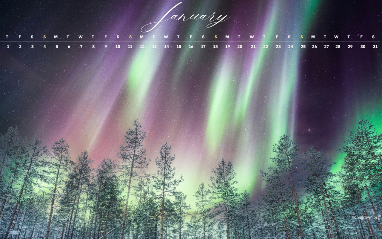 Free January 2026 Calendar Wallpapers: Nature-Inspired Designs