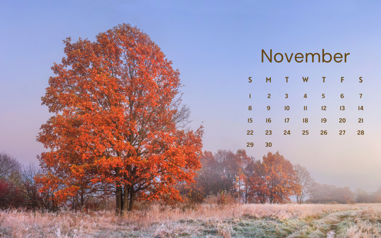 Free November 2026 Calendar Wallpapers: Nature-Inspired Designs