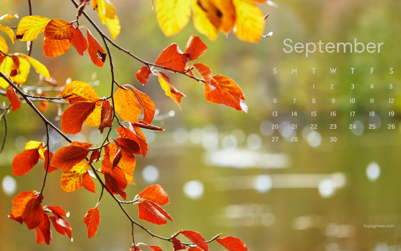 Free September 2026 Calendar Wallpapers: Nature-Inspired Designs