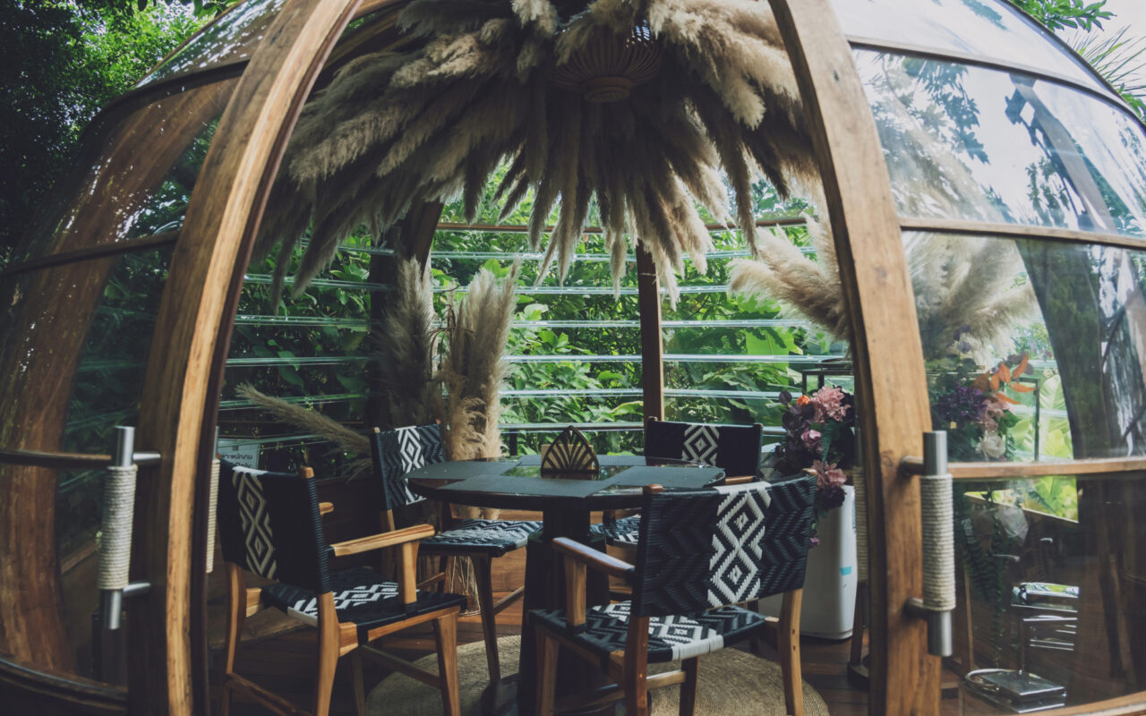 Cannabis Cafes: Redefining Social Spaces and Experiences