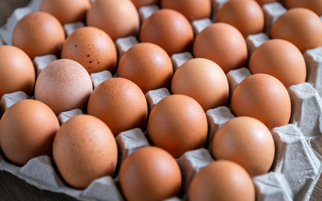 Cracking the Code: Free-range vs Cage-free vs Pasture-raised Eggs