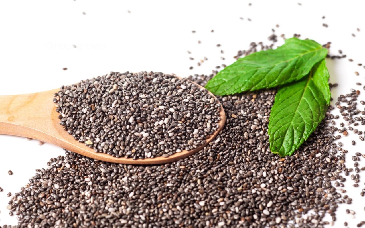 Chia Seeds: Tiny Superfood for Big Energy, Heart and Gut Health