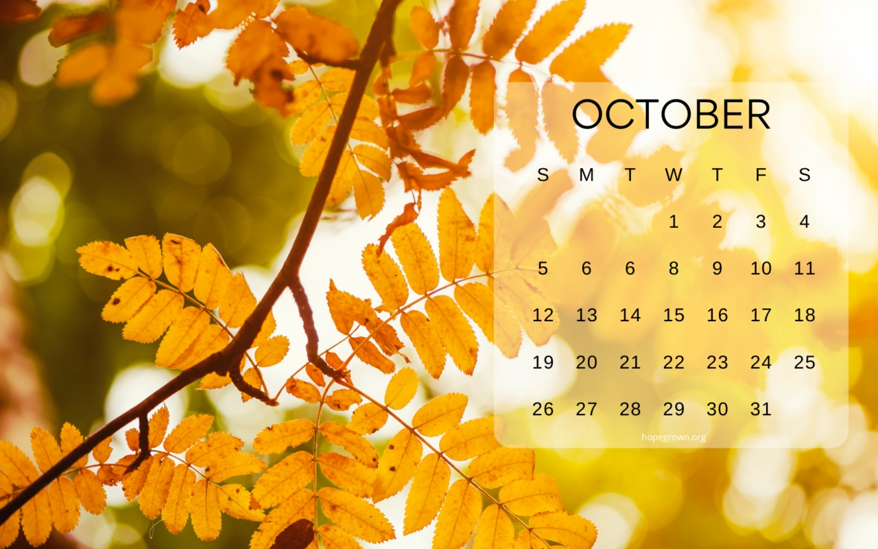 Free Calendar Wallpapers – Nature-Inspired Designs: October 2025
