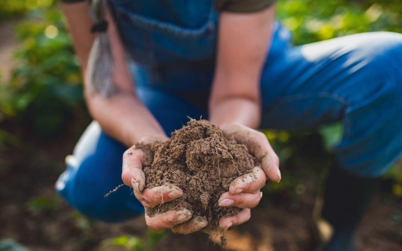 Why the Benefits of Regenerative Farming Go Far Beyond the Farm
