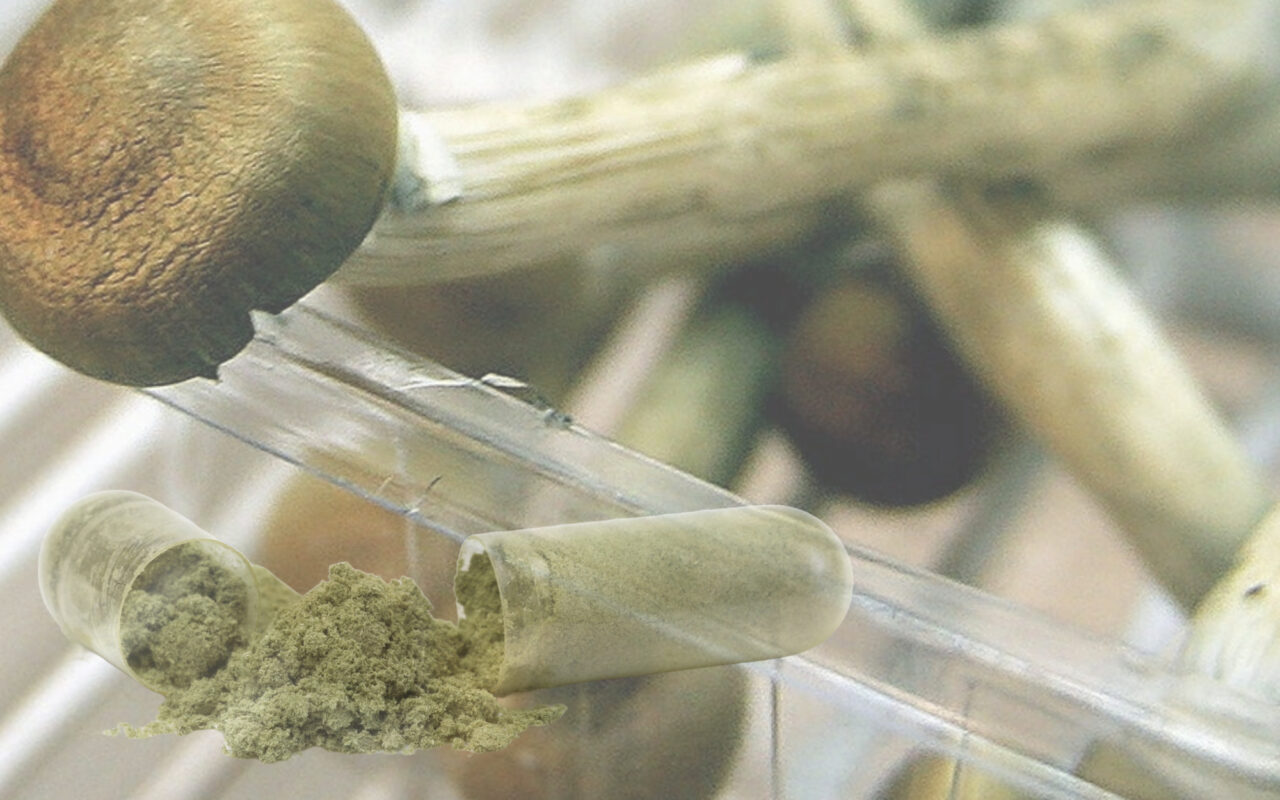 Natural vs. Synthetic Psilocybin: What You Need to Know