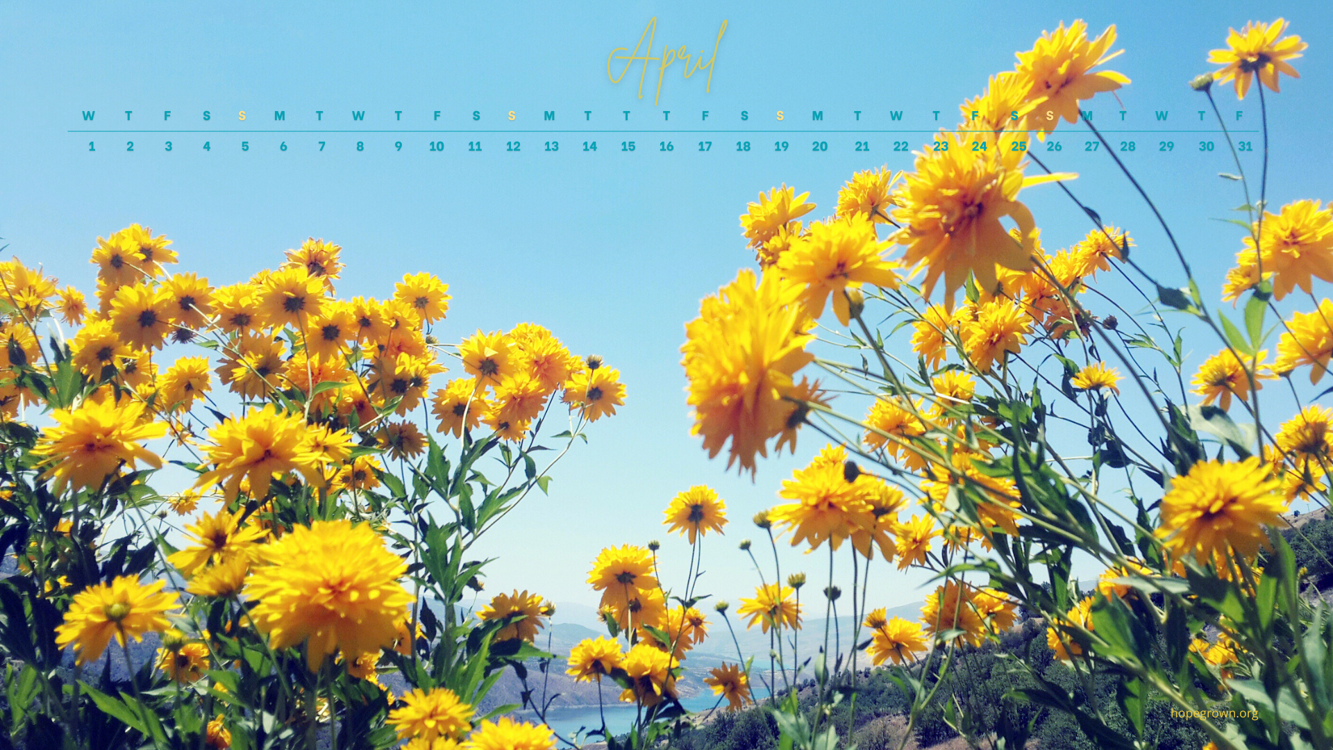 April-free-desktop-wallpaper-mountain-flowers-2026-hopegrown.png