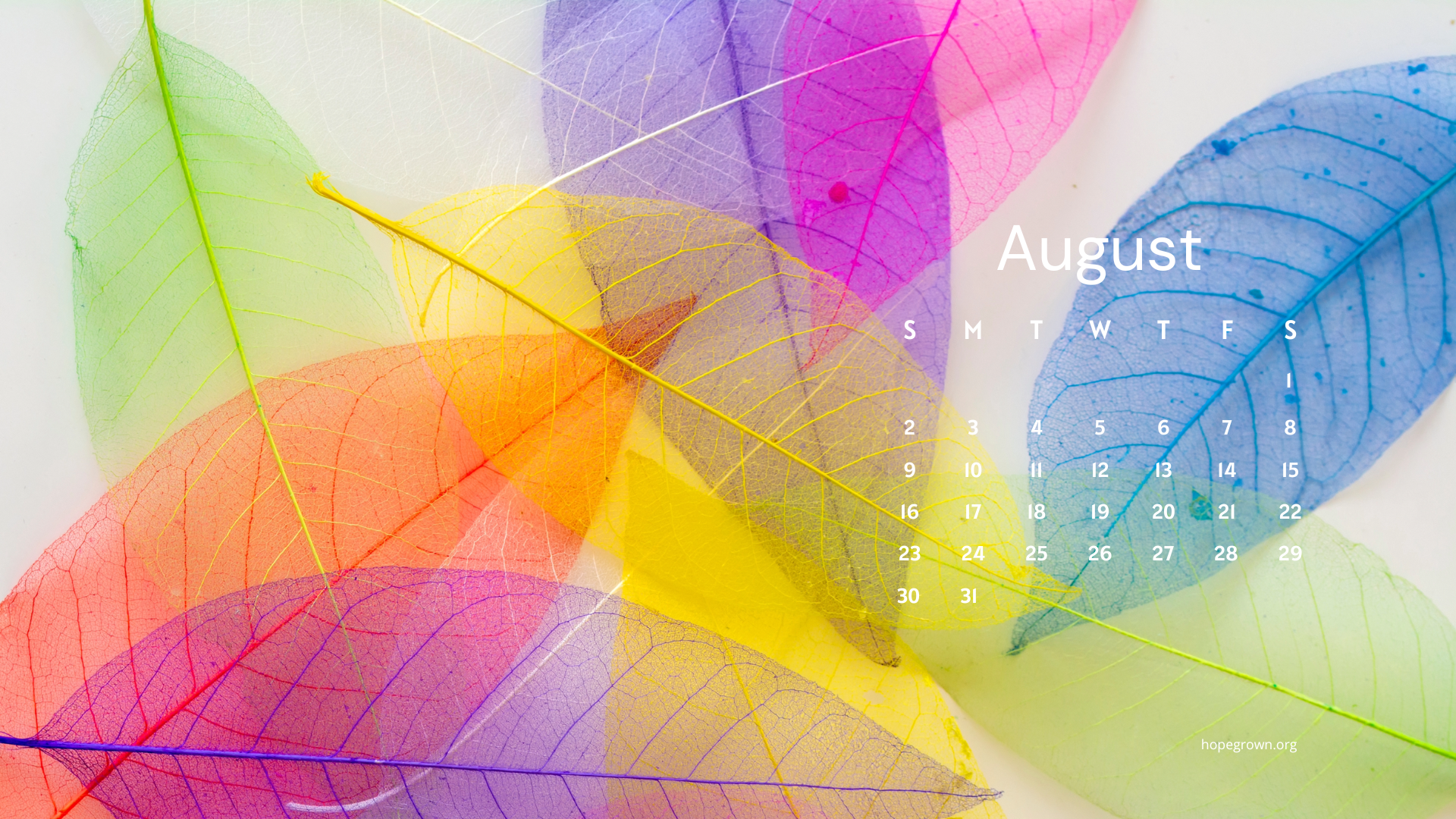 August-free-desktop-wallpaper-joy-in-full-color-2026-hopegrown.png