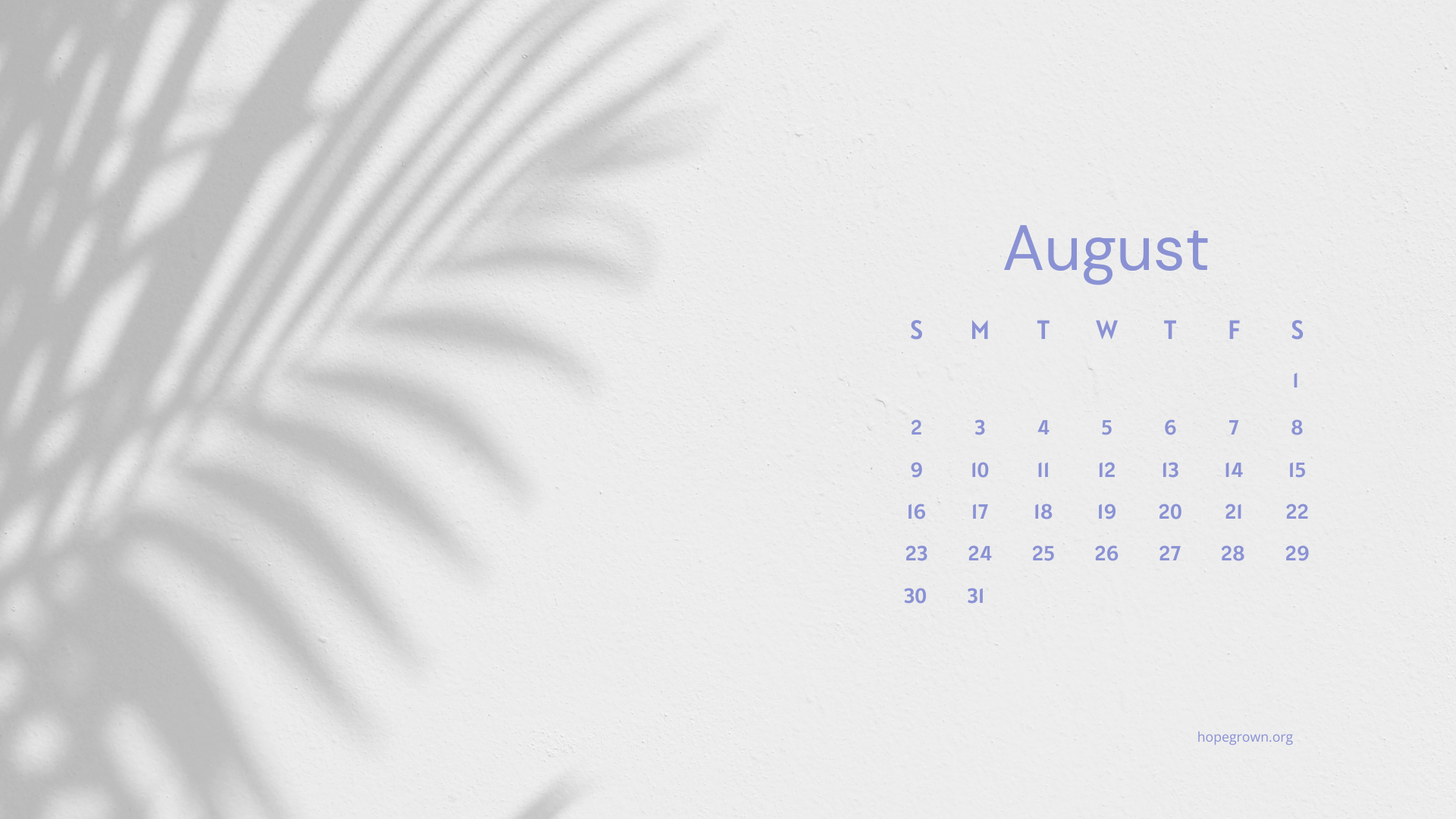 August-free-desktop-wallpaper-sunlit-stillness-2026-hopegrown.png