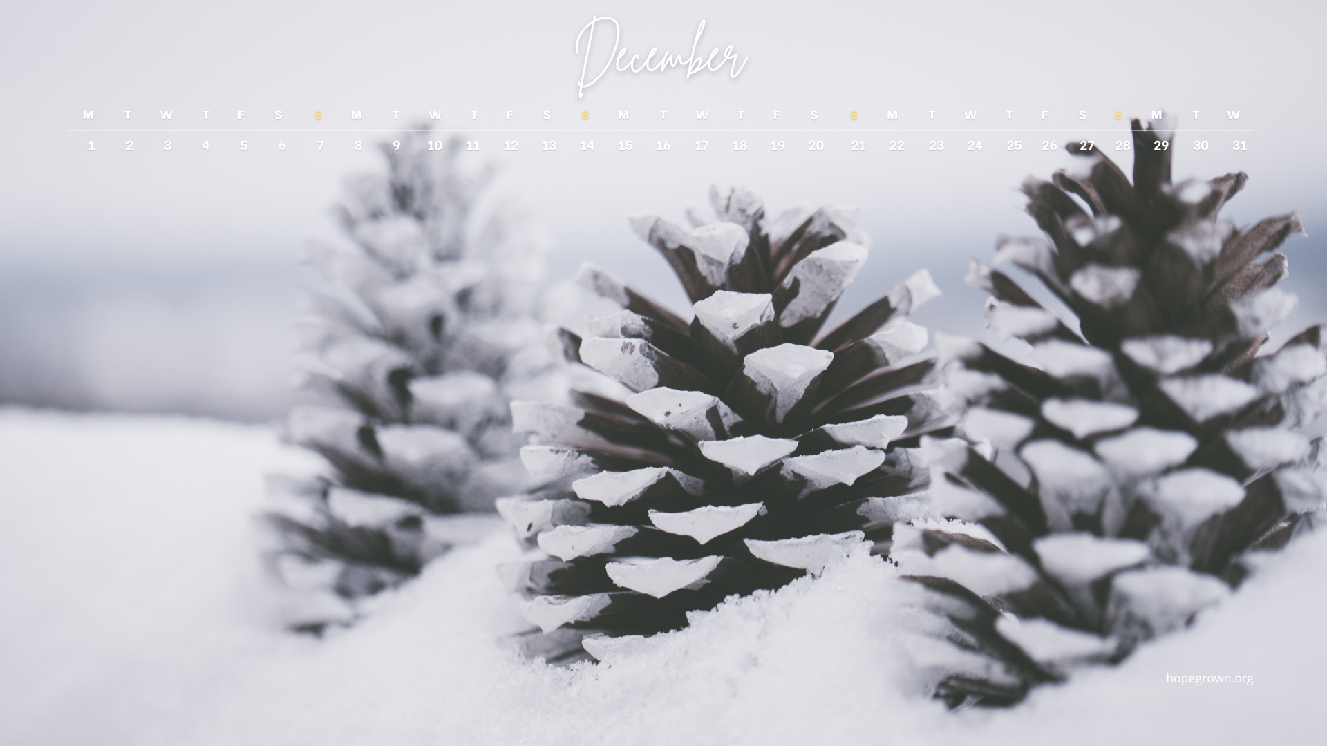December-free-desktop-wallpaper-pine-cone-snowy-trees-2025-hopegrown.png