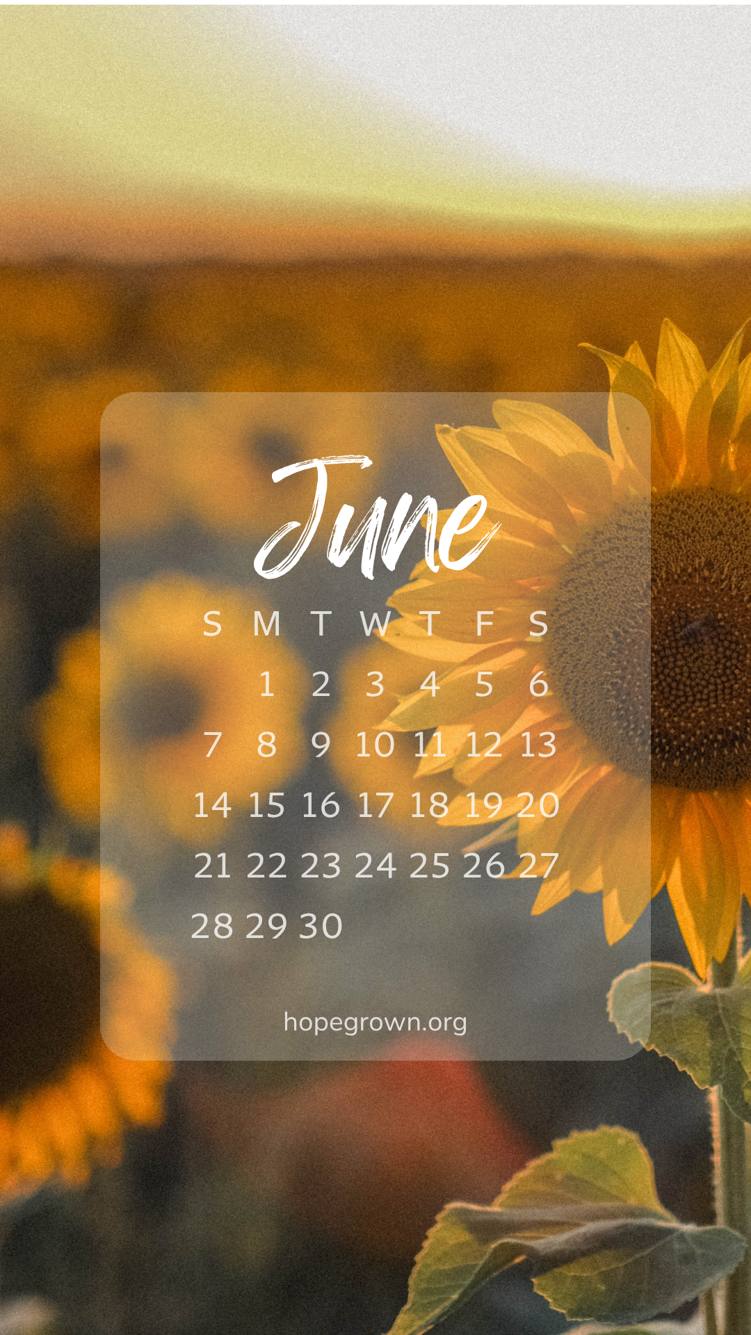June-free-phone-wallpaper-fields-of-gold-2026-hopegrown.png