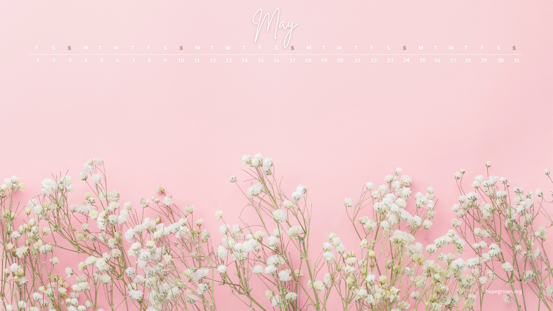 May-free-desktop-wallpaper-babys-breath-flowers-2026-hopegrown.png
