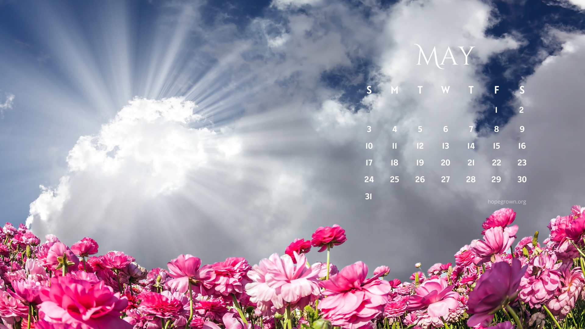 May-free-desktop-wallpaper-flower-field-cloudy-sunshine-2026-hopegrown.png