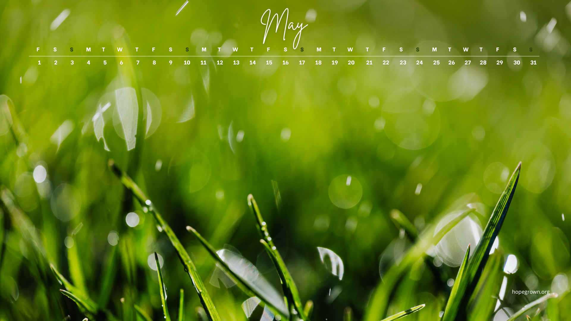 May-free-desktop-wallpaper-grassy-morning-dew-2026-hopegrown.png
