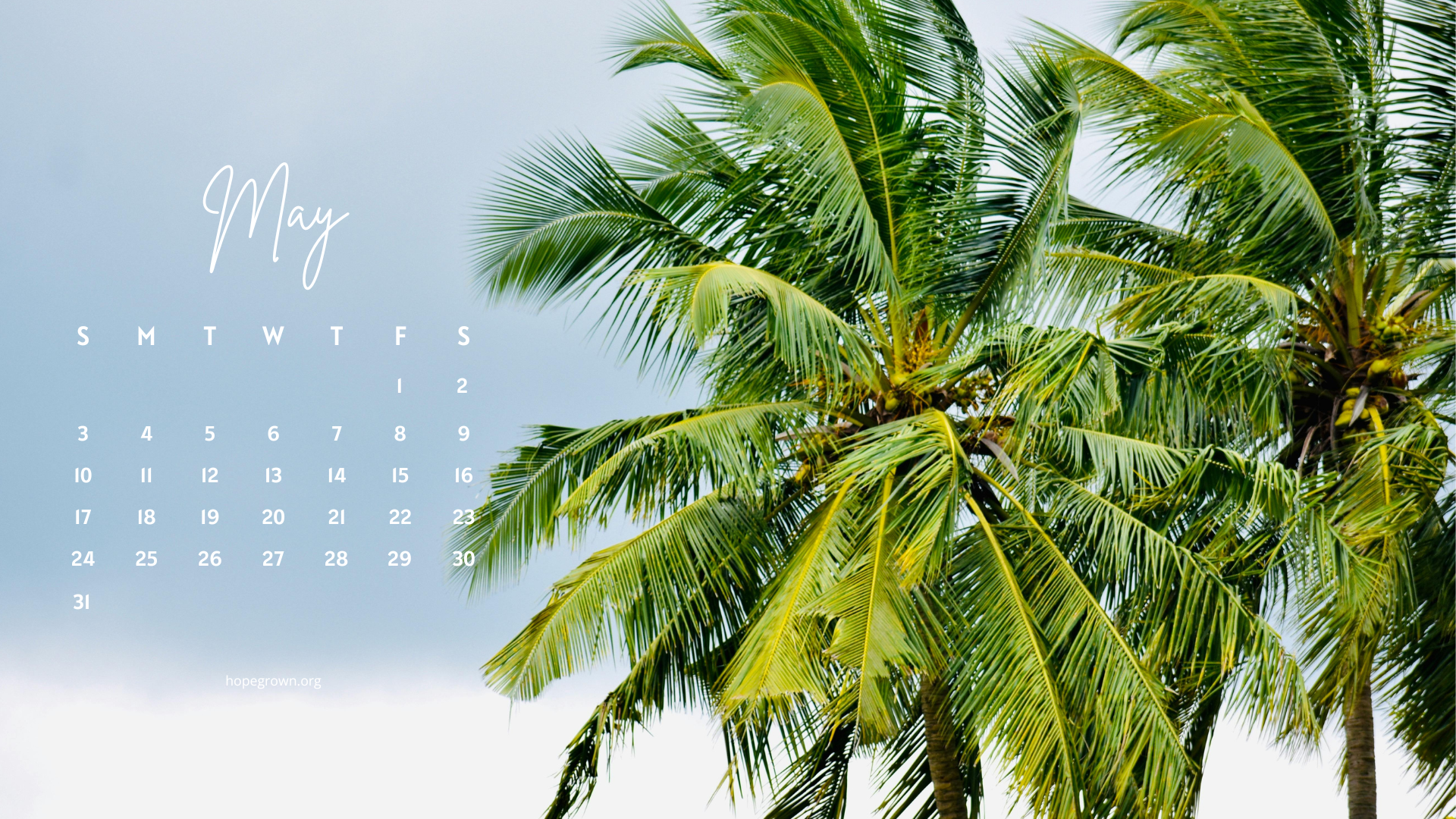 May-free-desktop-wallpaper-palm-trees-breeze-2026-hopegrown.png