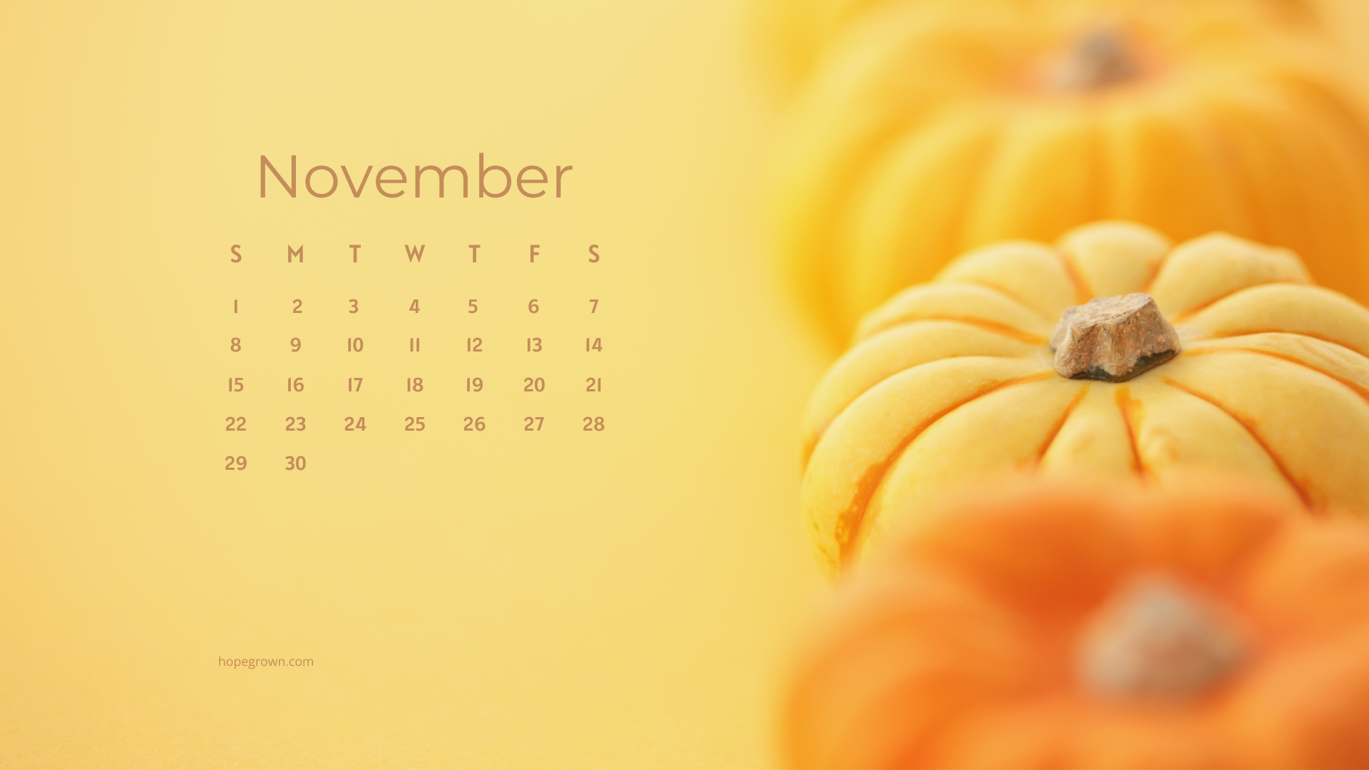 November-free-desktop-wallpaper-a-little-golden-goodness-2026-hopegrown.png