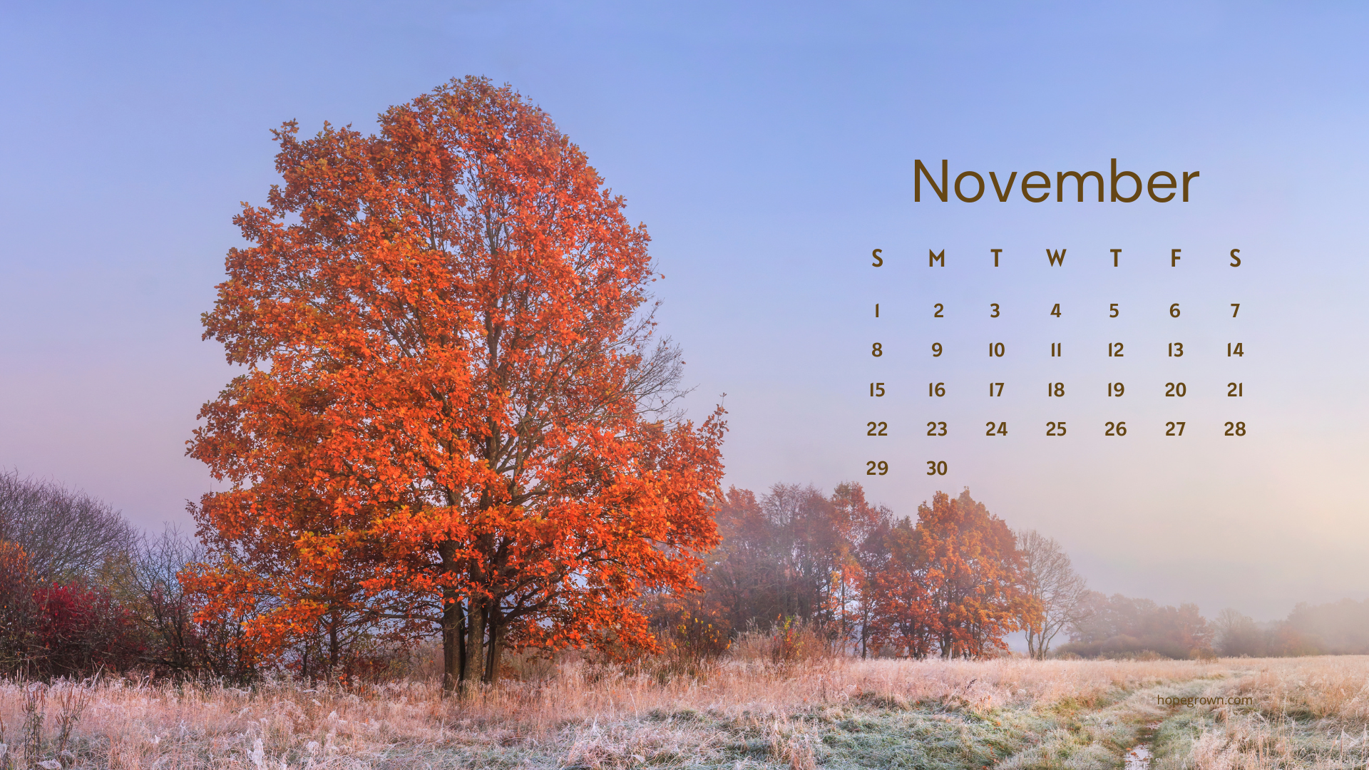 November-free-desktop-wallpaper-a-quiet-morning-in-orange-2026-hopegrown.png