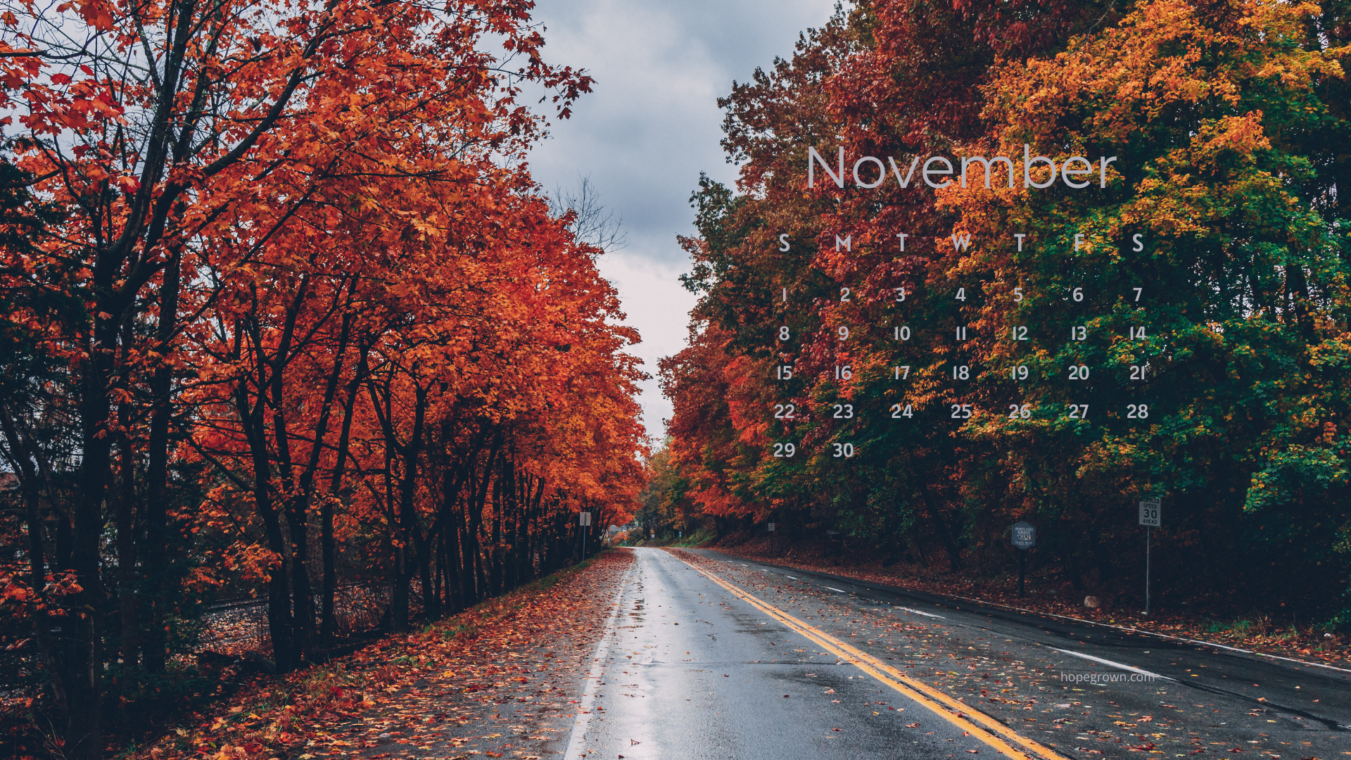 November-free-desktop-wallpaper-a-quiet-road-through-autumn-2026-hopegrown.png