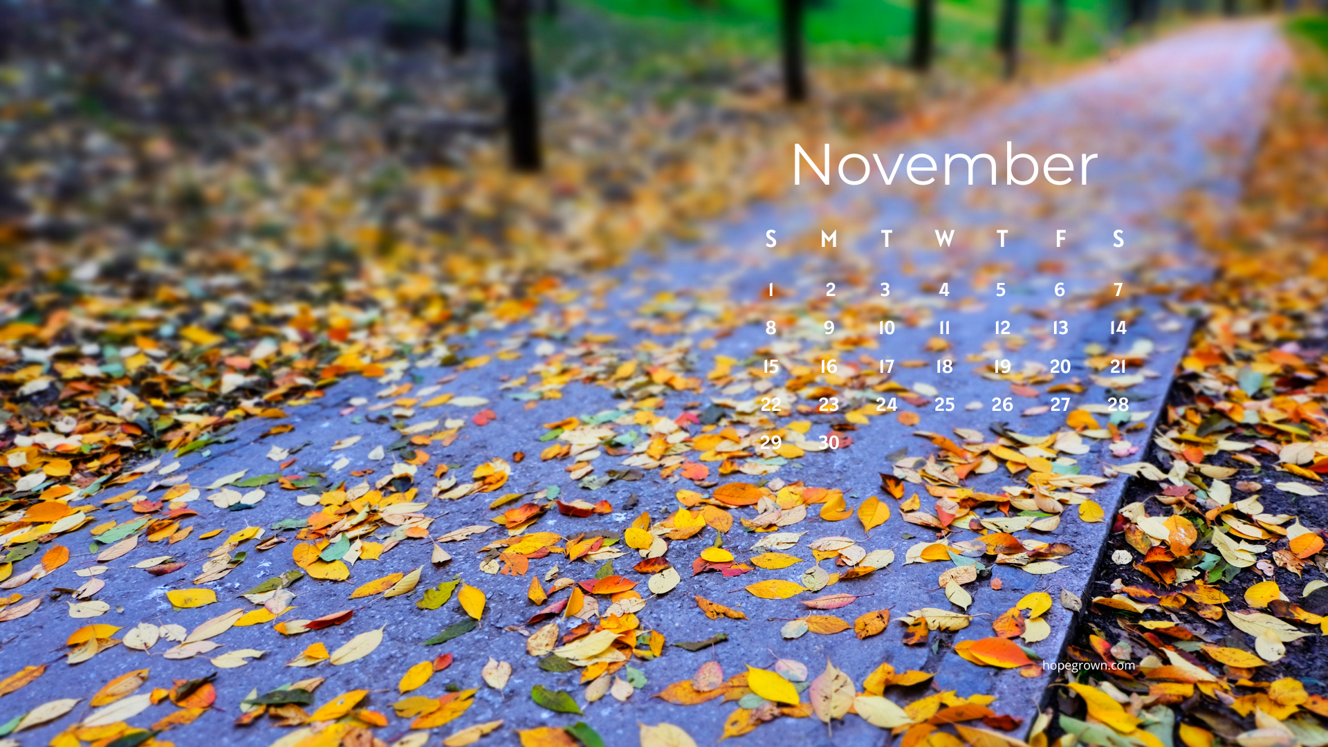 November-free-desktop-wallpaper-the-colorful-way-home-2026-hopegrown.png