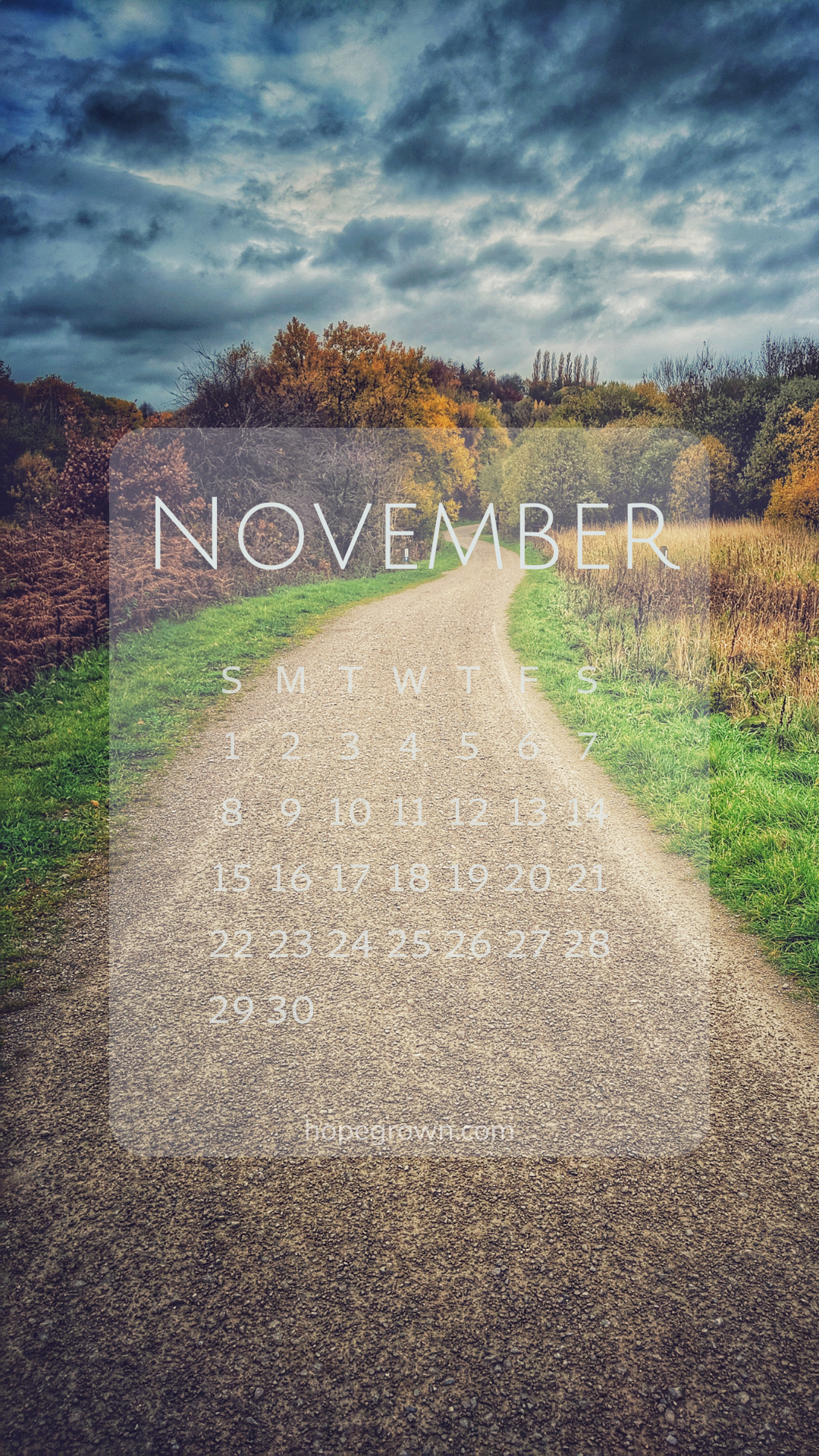 November-free-phone-wallpaper-a-wander-under-moody-skies-2026-hopegrown.png