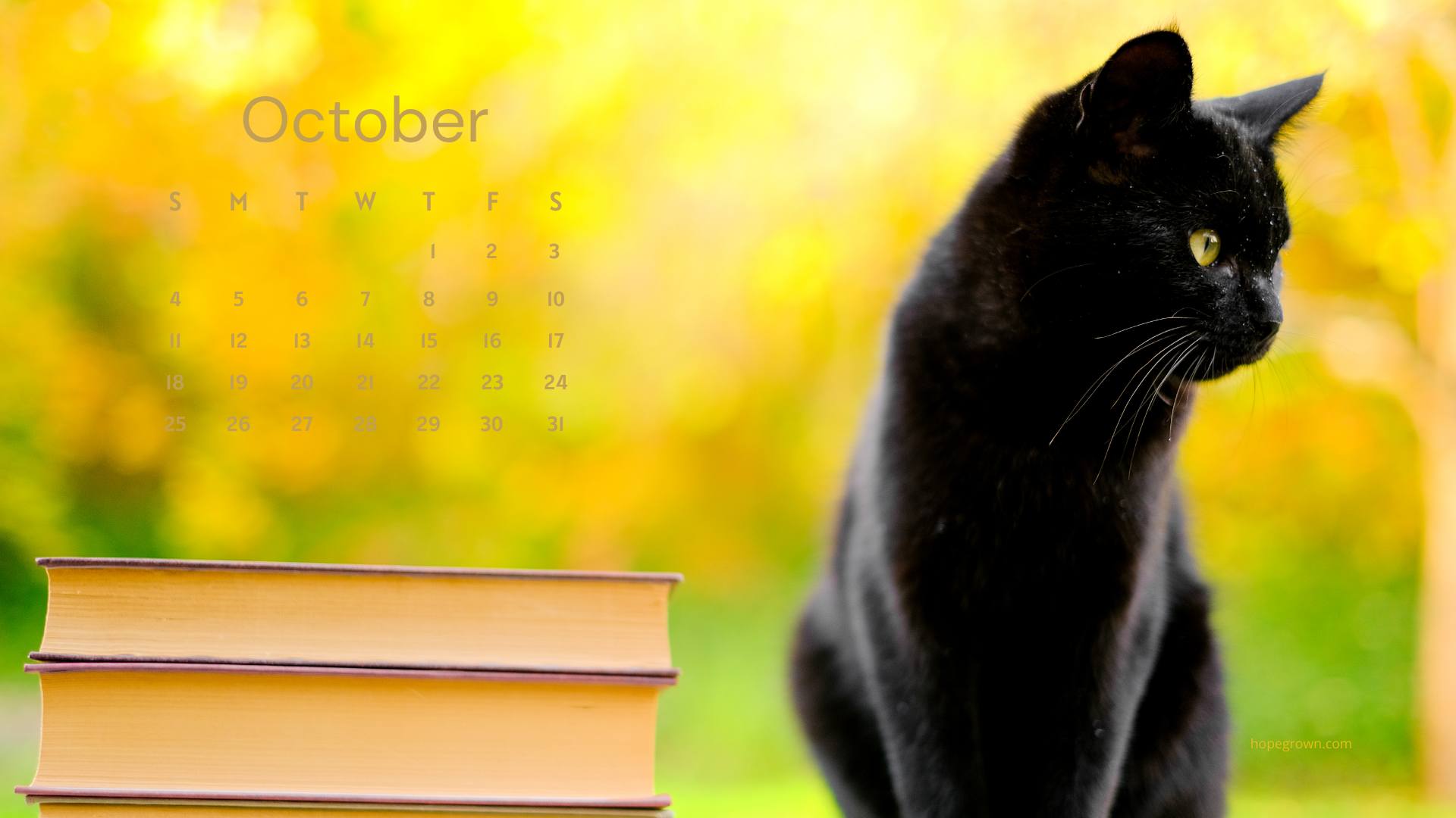 October-free-desktop-wallpaper-golden-pages-and-autumn-whiskers-2026-hopegrown.png