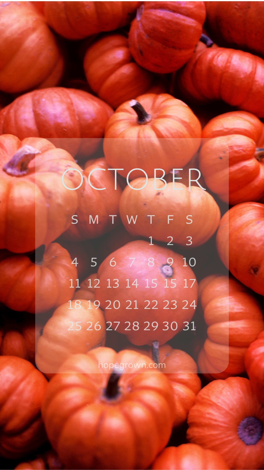 October-free-phone-wallpaper-a-gathering-of-little-pumpkins-2026-hopegrown.png