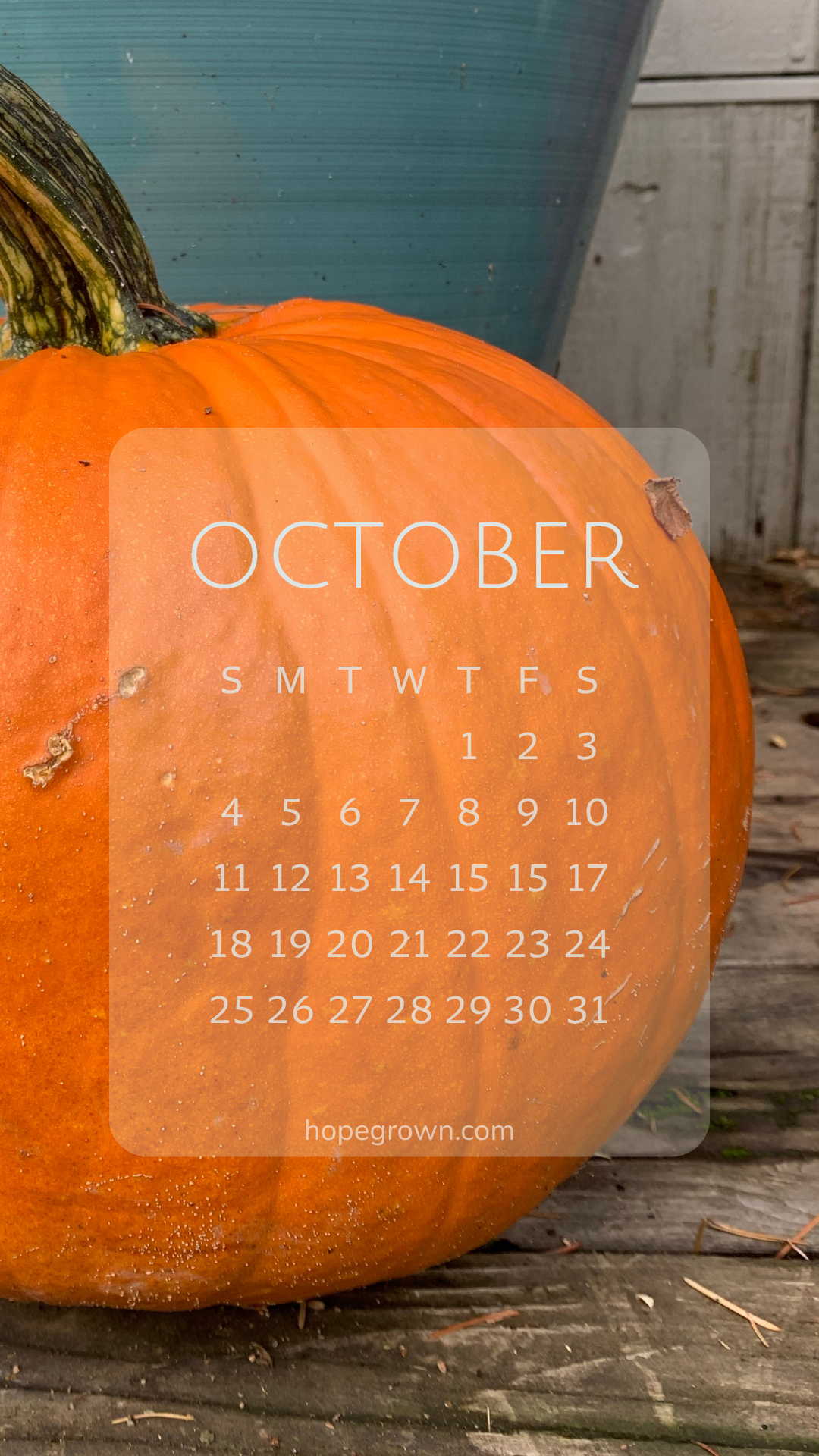 October-free-phone-wallpaper-a-pumpkin-on-the-porch-2026-hopegrown.png