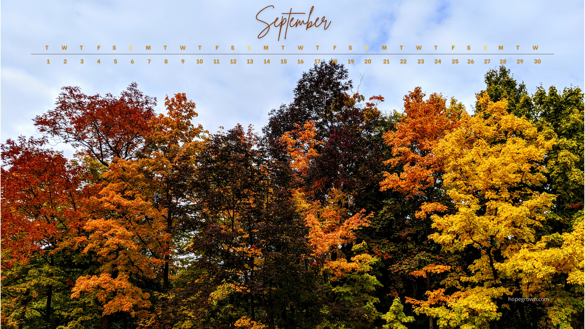 September-free-desktop-wallpaper-first-colors-of-fall-2026-hopegrown.png