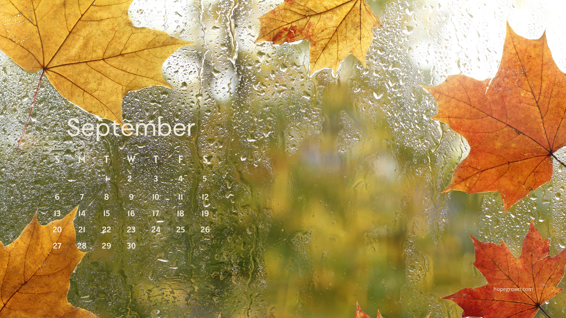 September-free-desktop-wallpaper-leaves-behind-the-rain-2026-hopegrown.png