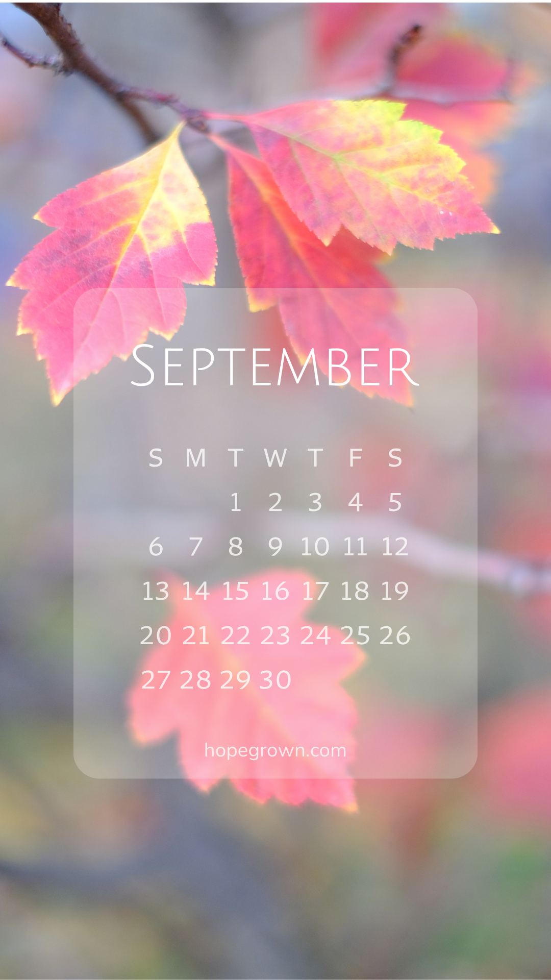 September-free-phone-wallpaper-early-fall-blush-2026-hopegrown.png