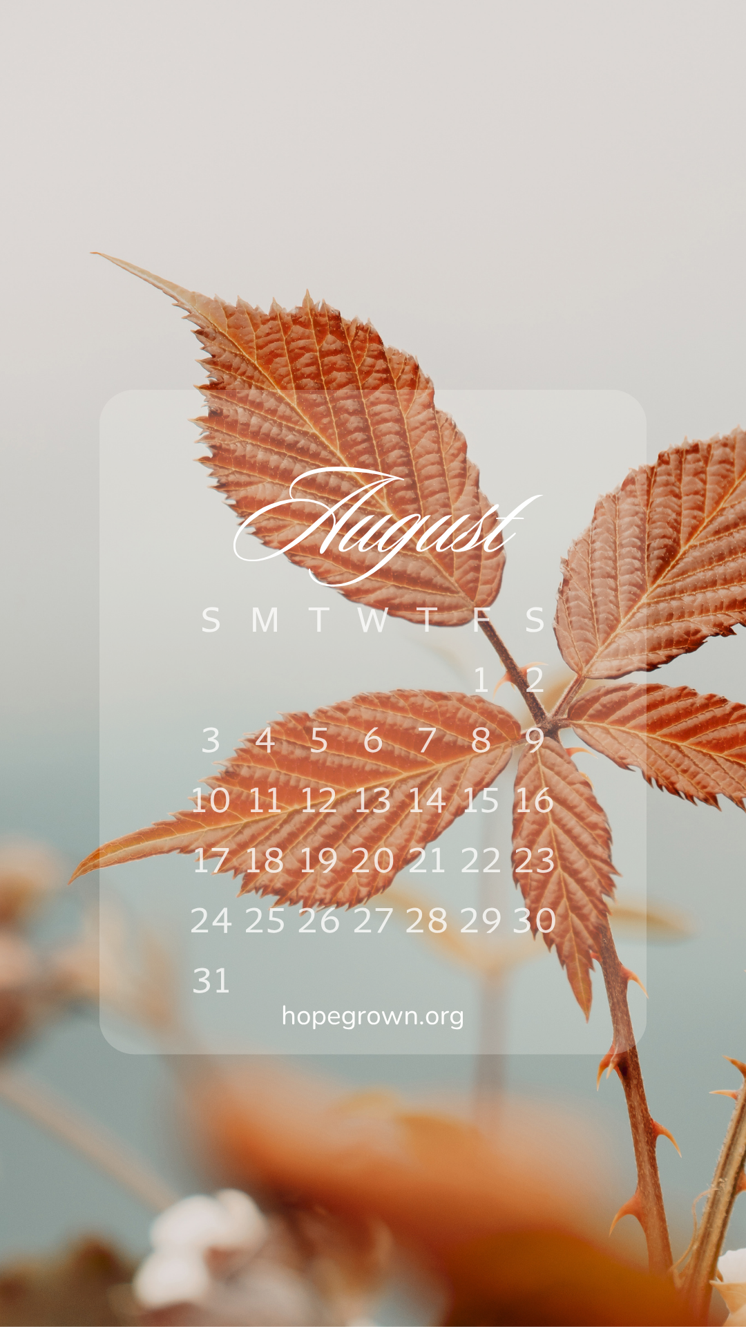 august-free-phone-wallpaper-aesthetic-red-leaf-2025-hopegrown.png