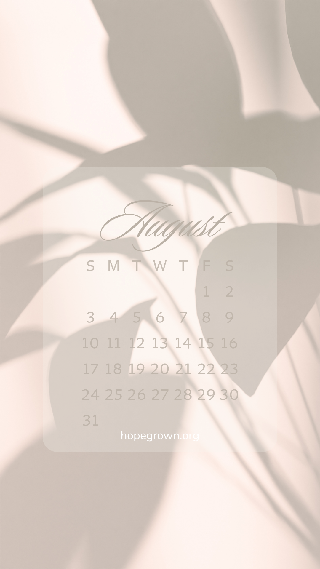august-free-phone-wallpaper-aesthetic-shadows-of-plant-2025-hopegrown.png