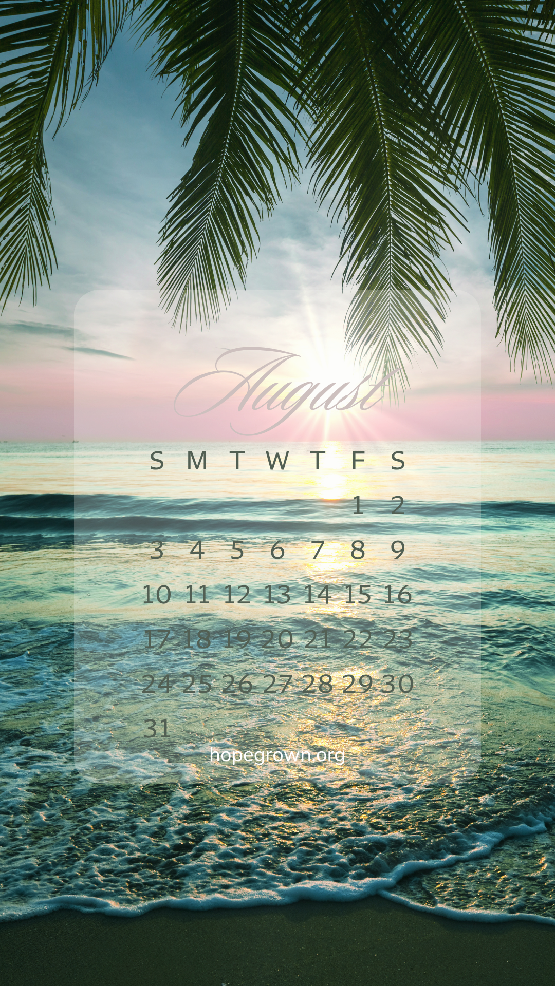 august-free-phone-wallpaper-beach-sunset-palm-tree-2025-hopegrown.png