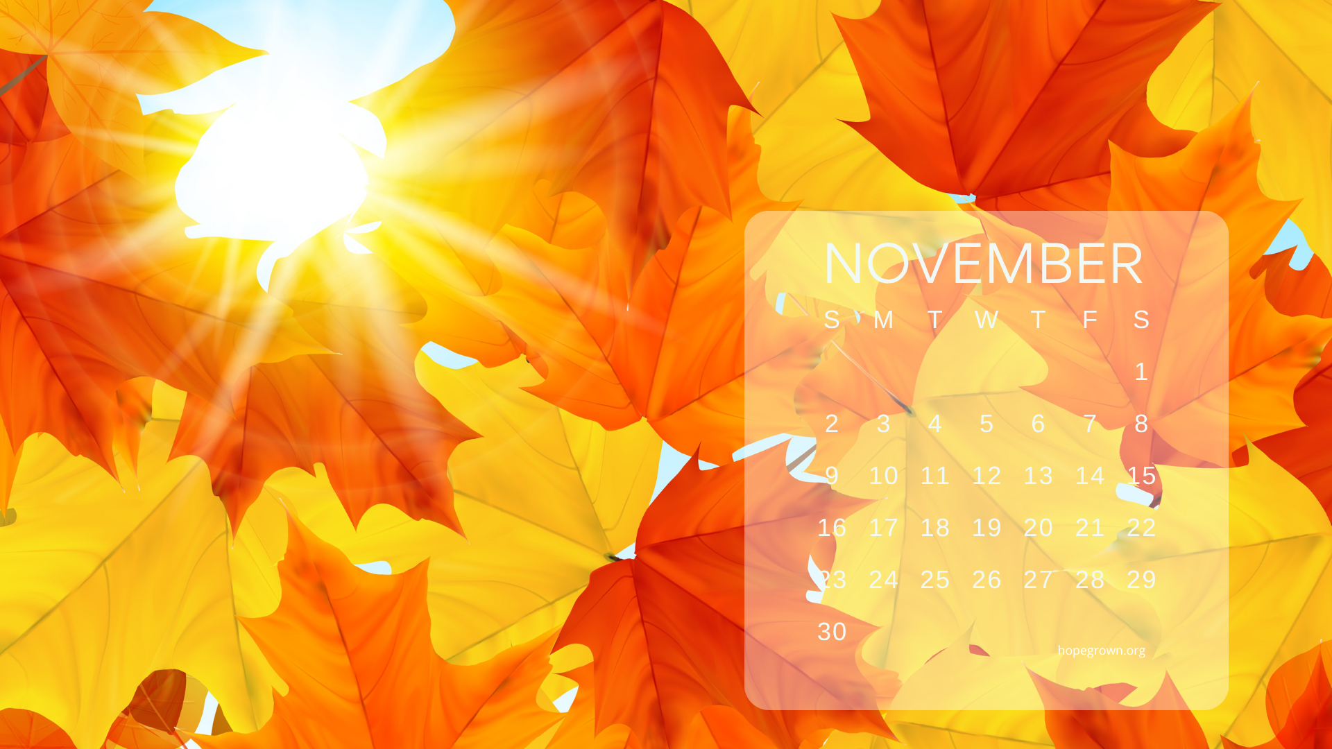 november-free-desktop-wallpaper-autumn-orange-leaves-sun-2025-hopegrown.png