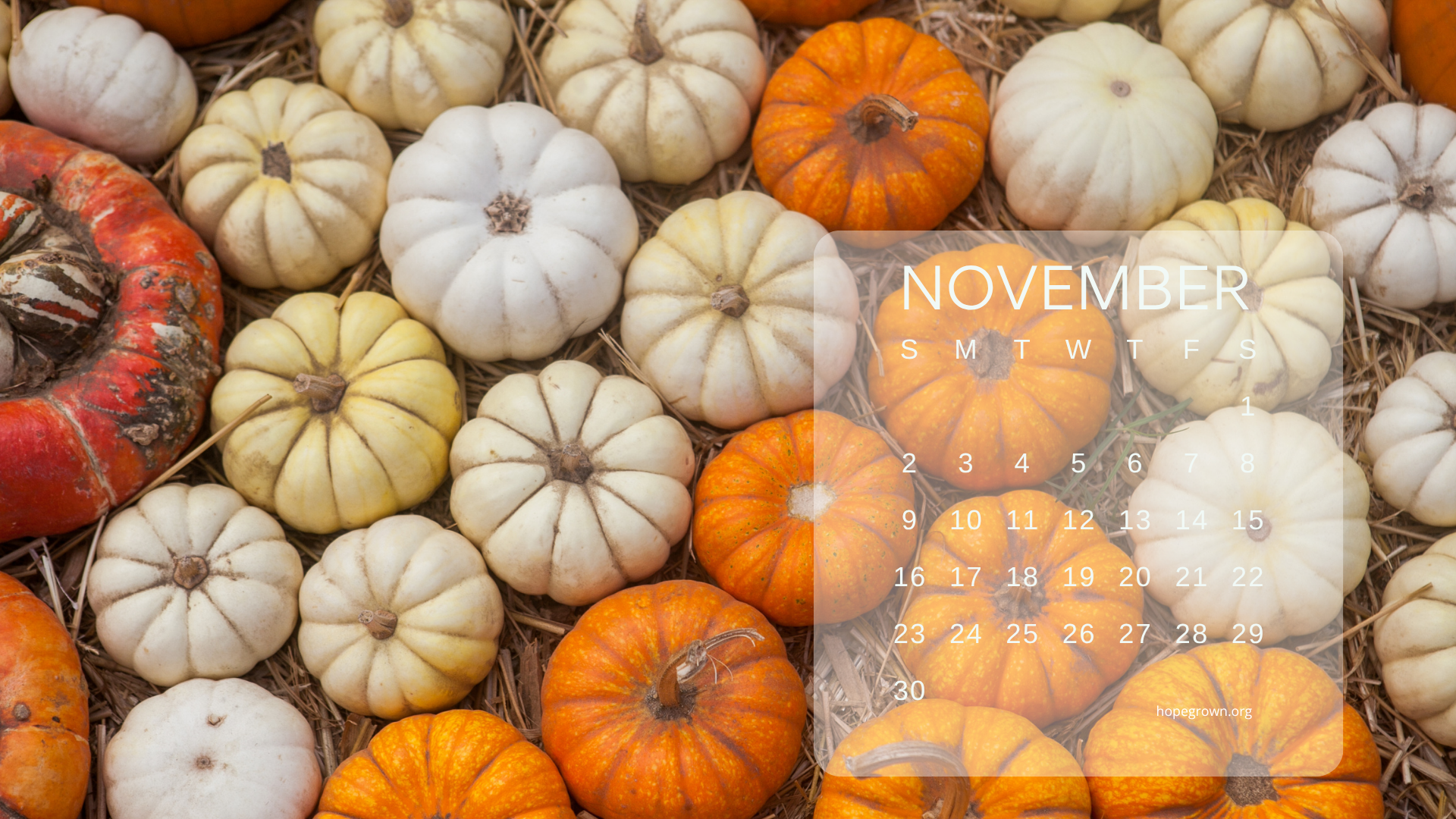 november-free-desktop-wallpaper-mini-pumpkin-medley-2025-hopegrown.png
