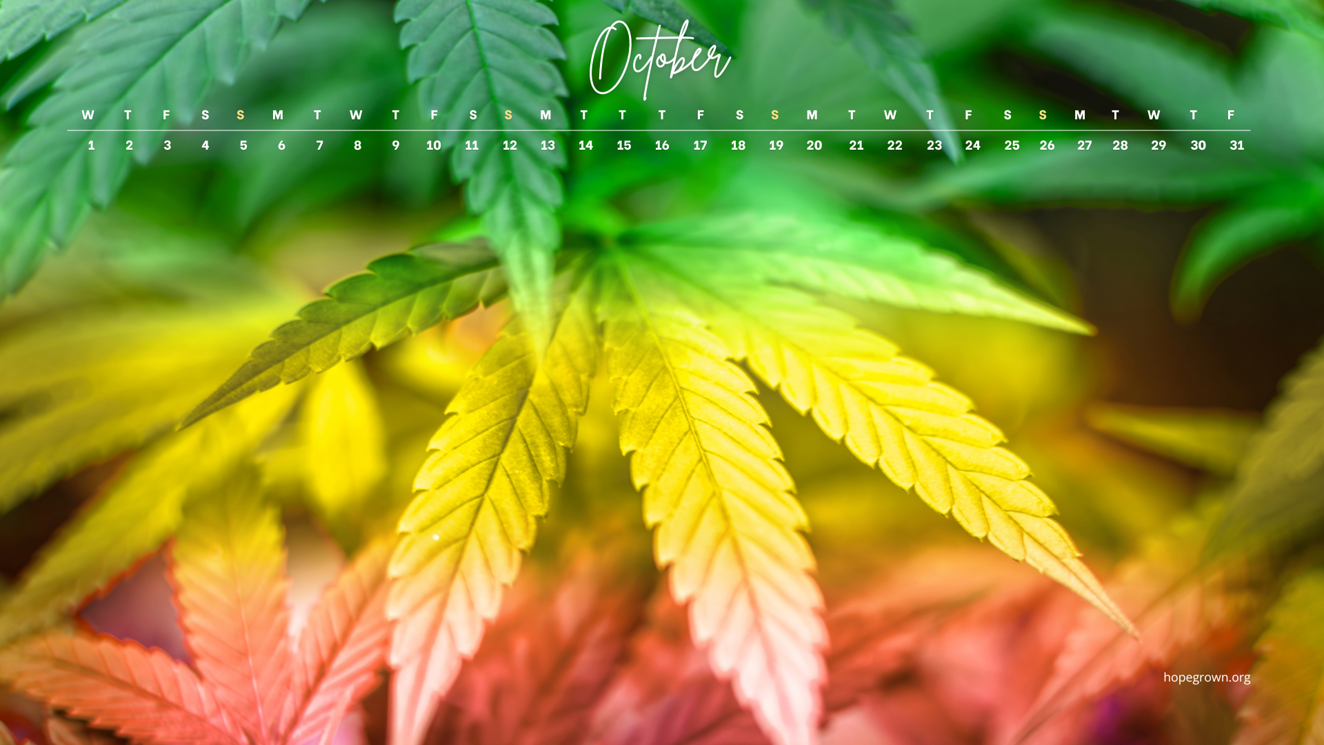 october-free-desktop-wallpaper-rasta-autumn-2025-hopegrown.png