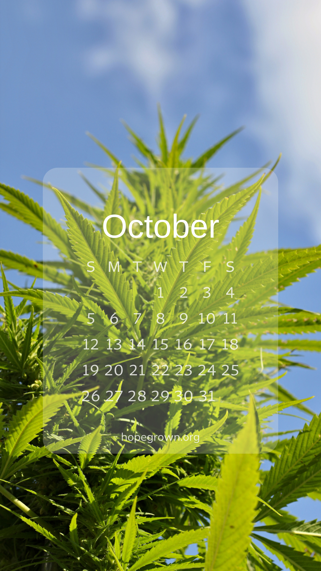 october-free-phone-wallpaper-brocolli-outdoors-hopegrown.png