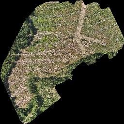 Maps Made Easy