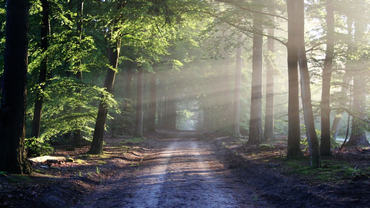 Six Steps to Validating Your Startup