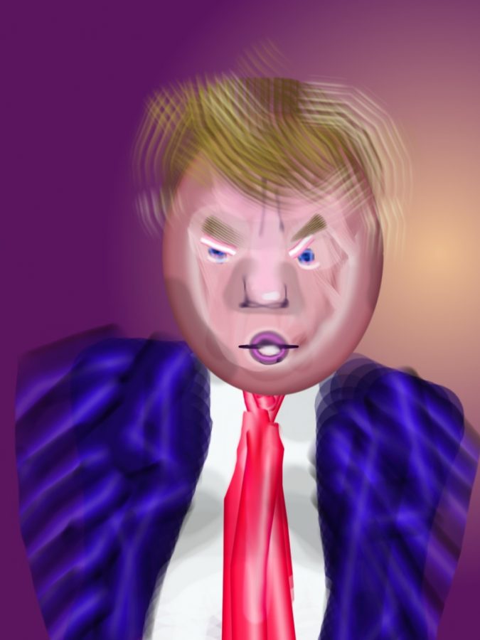 The Donald Donald Trump