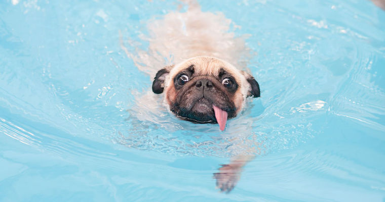 drowning product manager