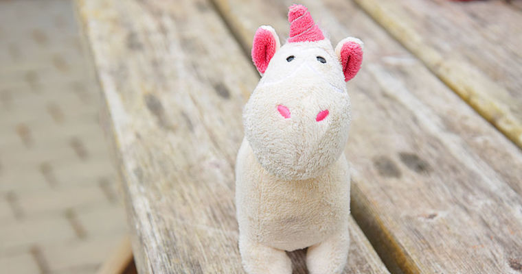 silicon valley unicorn startup