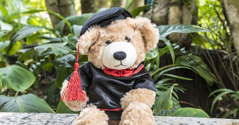 hire recent graduate at a startup