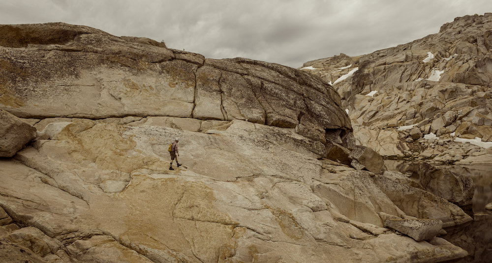 the founder's paradox success