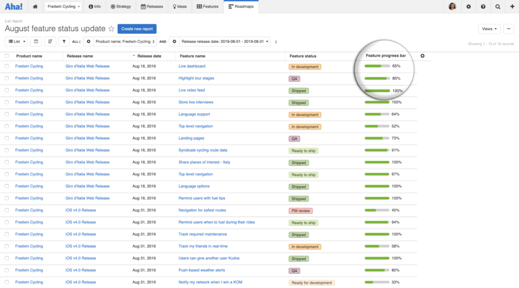 Features Status Report With Progress Bar