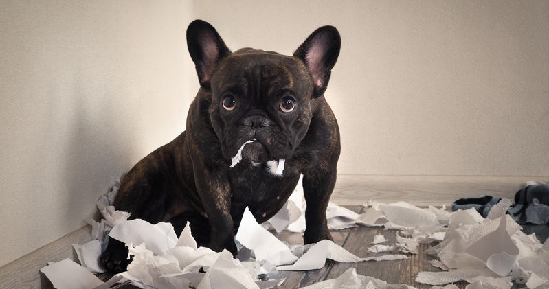 bosses' excuses