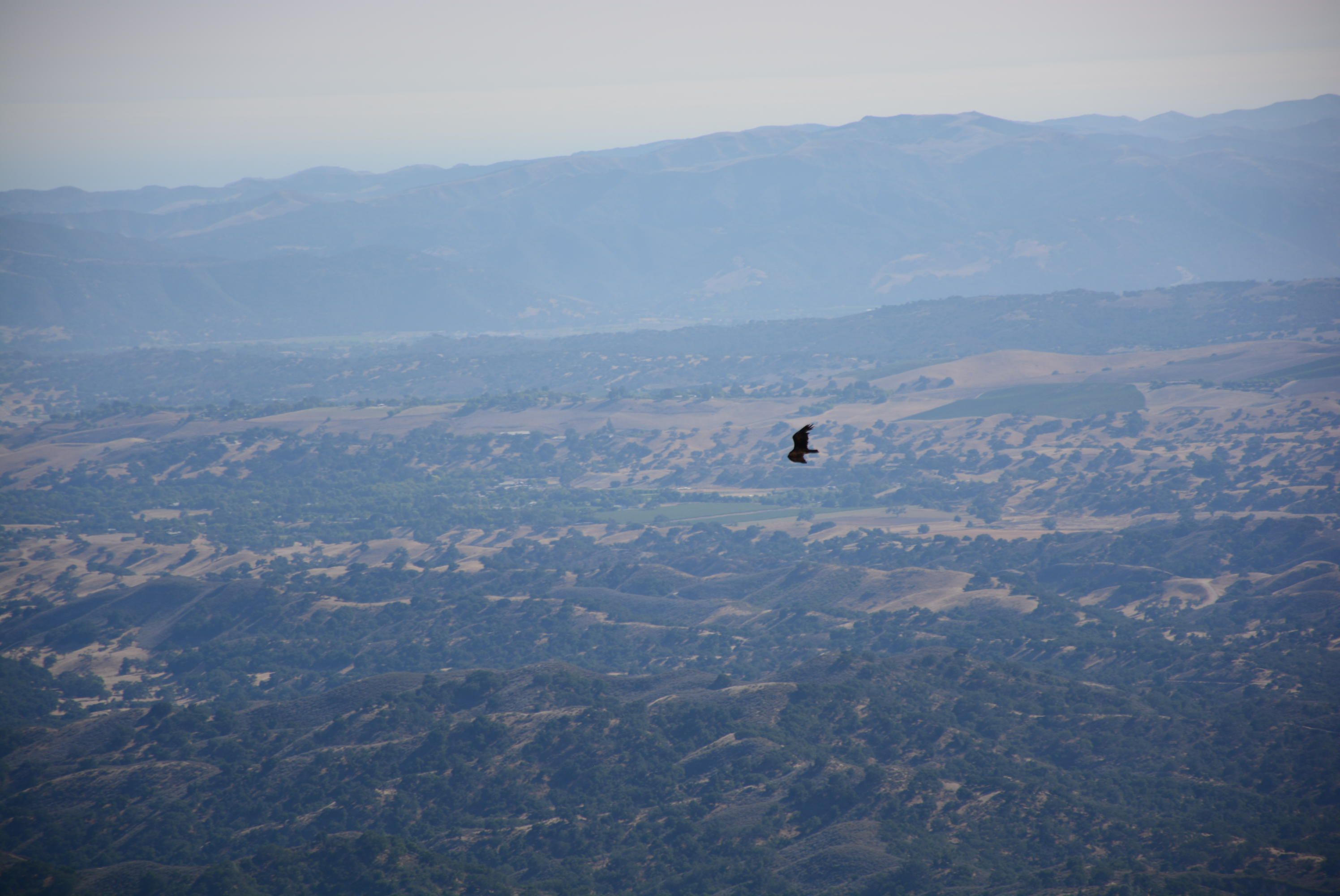 Sky High