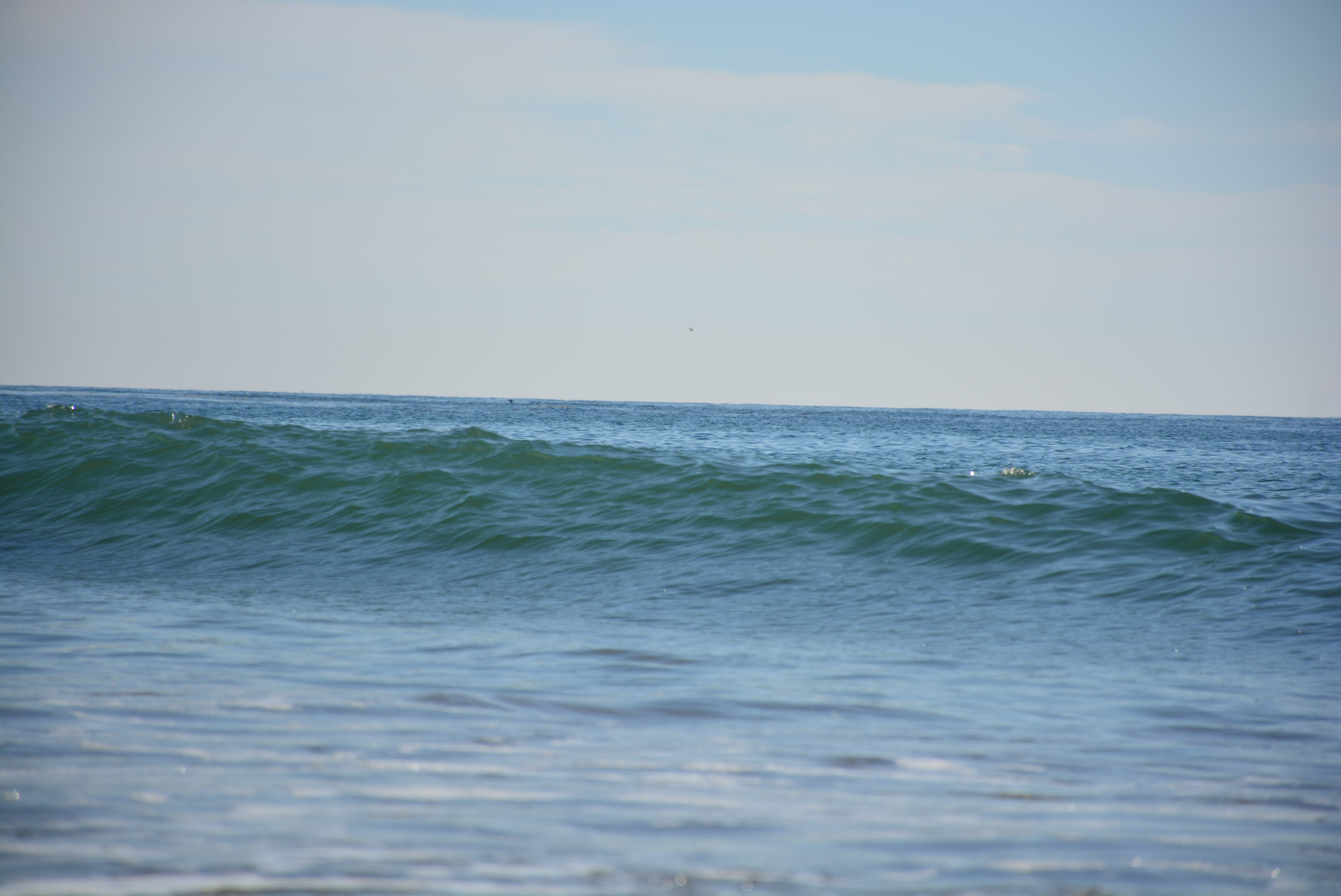 Catching up Waves