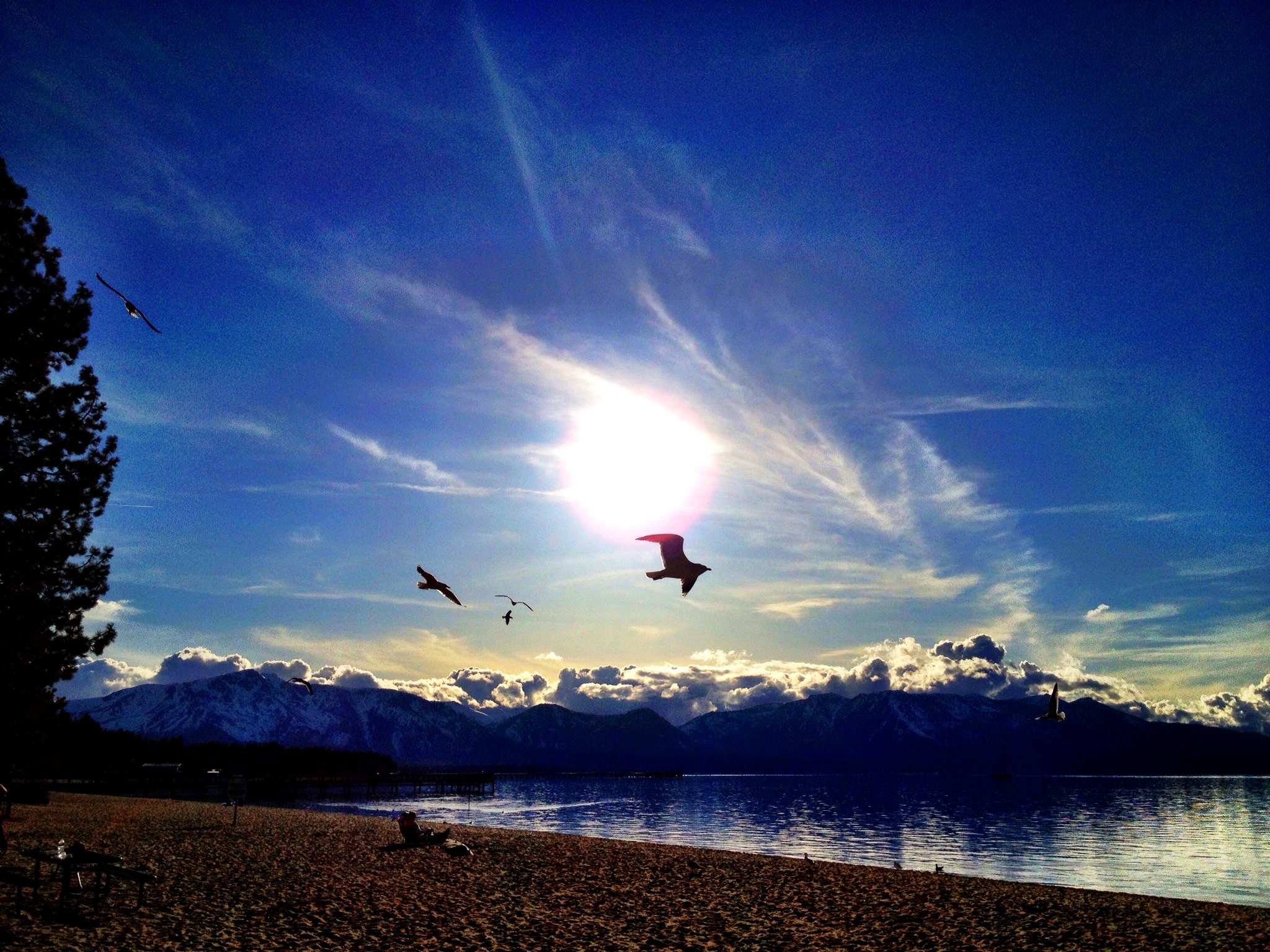 Flying